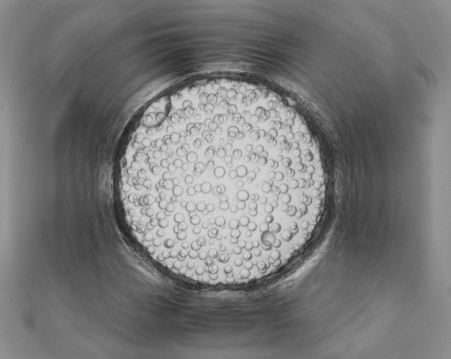 X0000110971113200907310923
