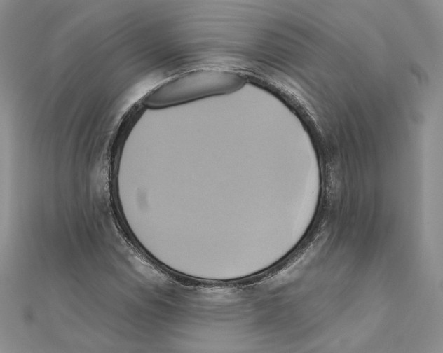 X0000110971114200907310923