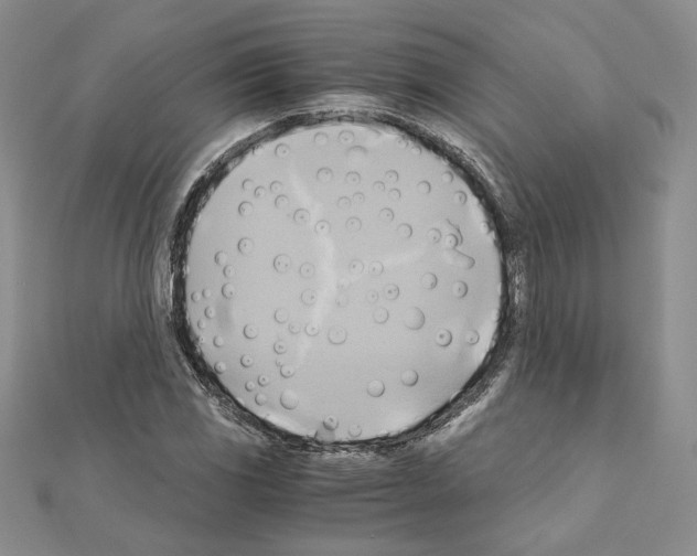 X0000110971117200907310923