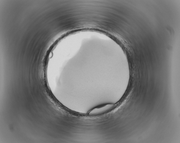 X0000110971118200907310923