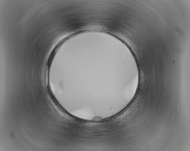 X0000110971123200907310923