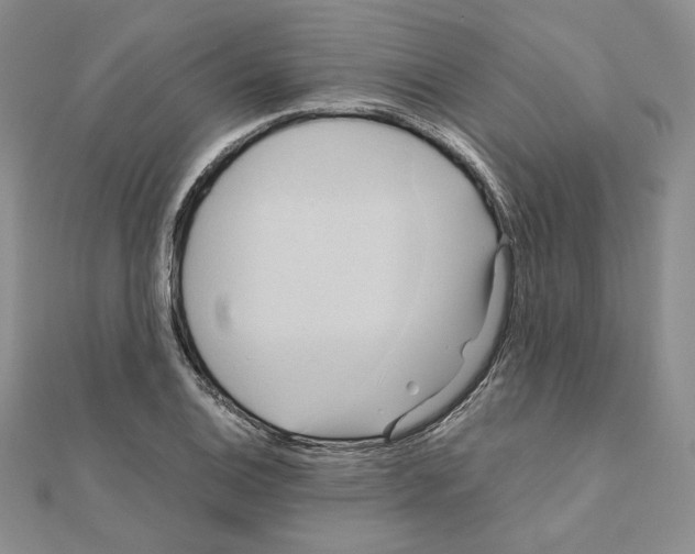 X0000110971124200907310923
