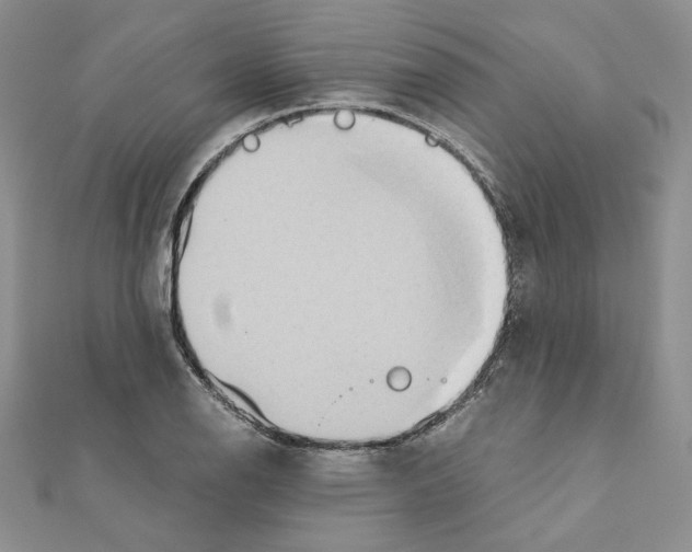 X0000110971126200907310923