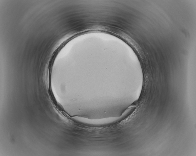 X0000110971127200907310923