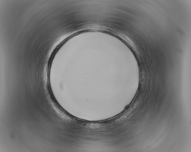 X0000110971128200907310923