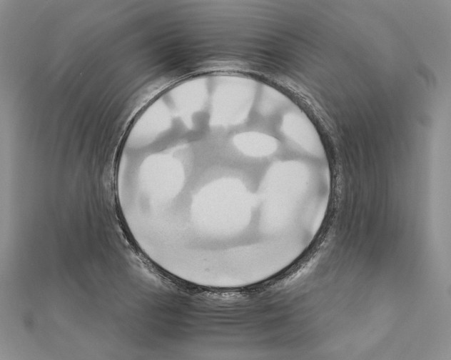 X0000110971129200907310924