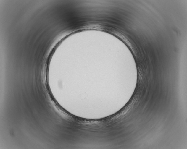 X0000110971131200907310924