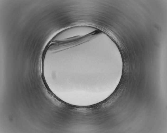 X0000110971132200907310924