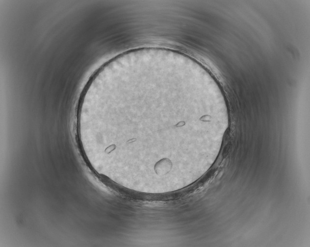 X0000110971136200907310924