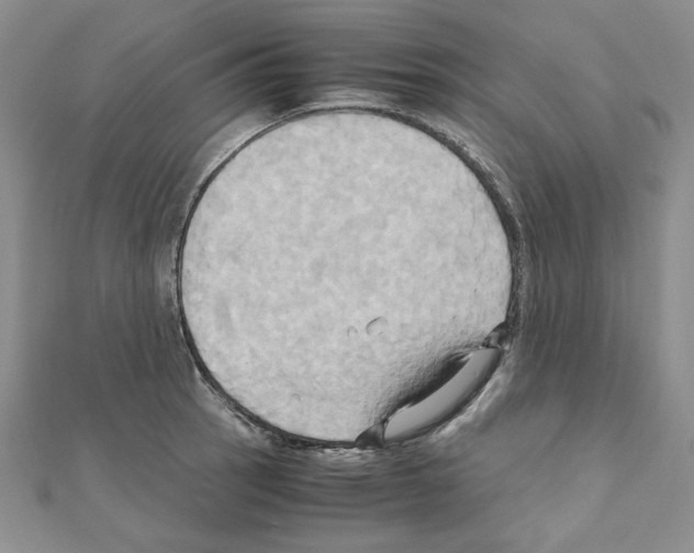 X0000110971137200907310924