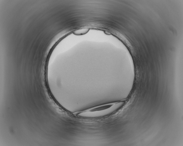 X0000110971138200907310924