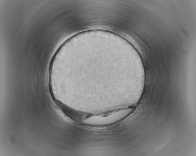 X0000110971140200907310924