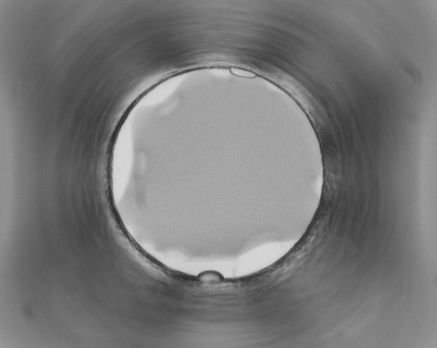 X0000110971142200907310924