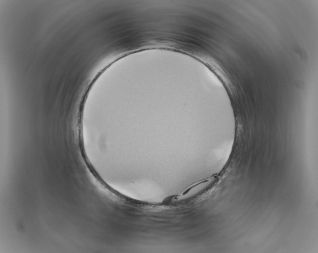 X0000110971143200907310924