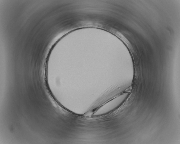 X0000110971144200907310924