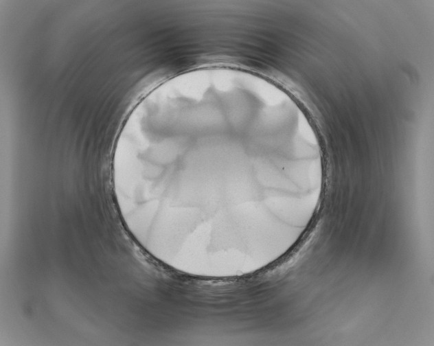 X0000110971145200907310924