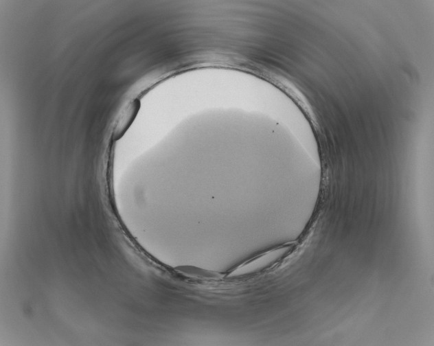 X0000110971146200907310924