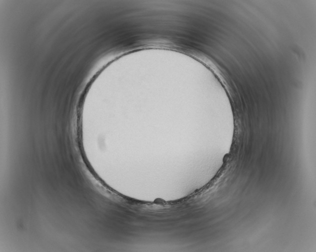 X0000110971147200907310924