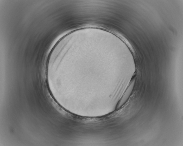 X0000110971148200907310924