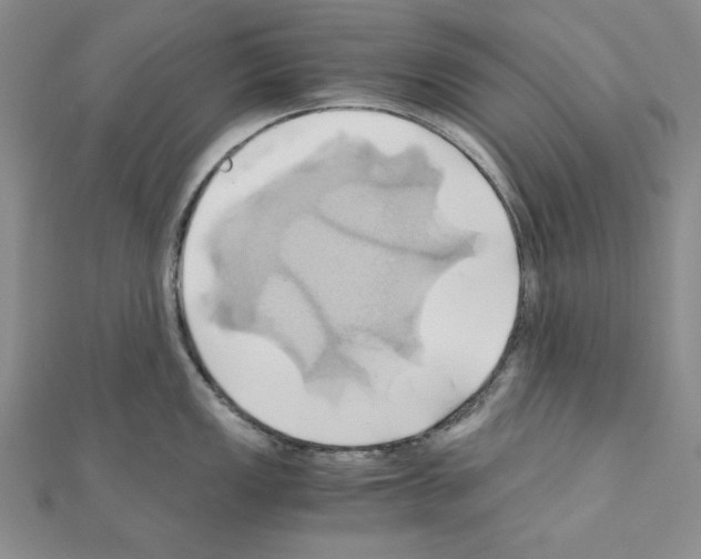X0000110971149200907310924