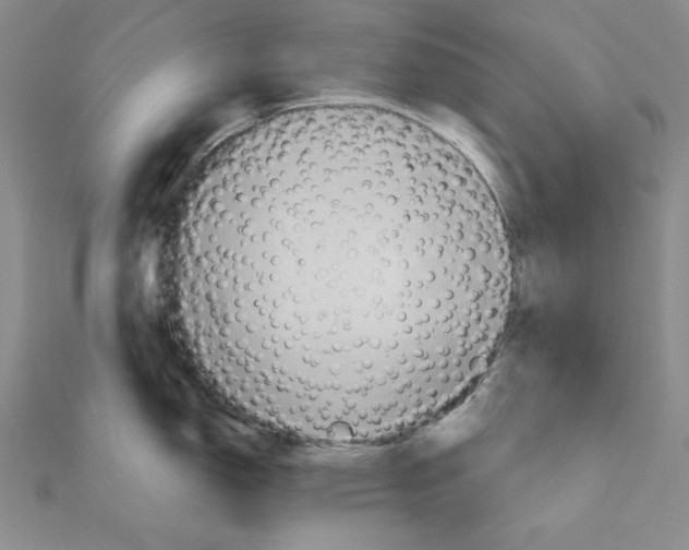 X0000110971150200907310924