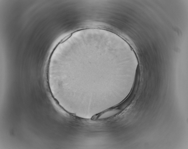 X0000110971152200907310924