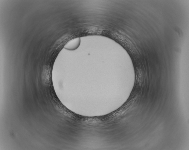 X0000110971154200907310923