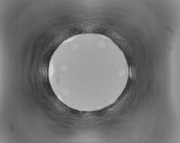 X0000110971155200907310923
