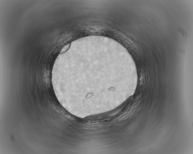 X0000110971156200907310923
