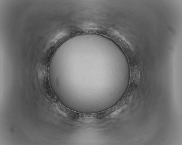 X0000110971157200907310923