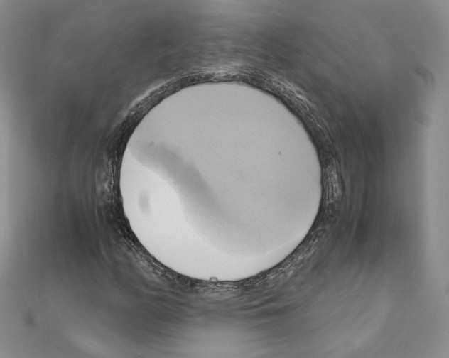 X0000110971158200907310923