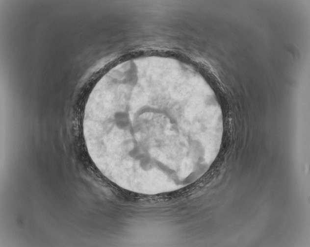 X0000110971159200907310923