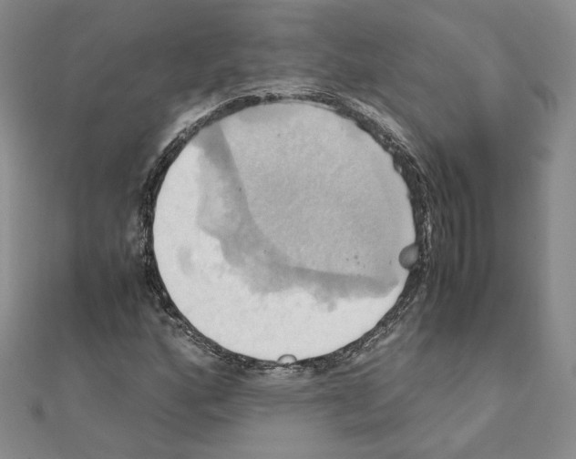 X0000110971160200907310923