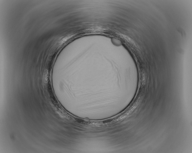 X0000110971161200907310923