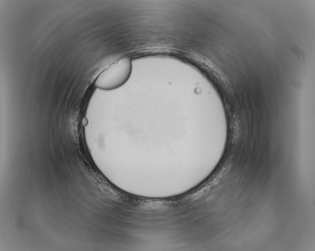 X0000110971162200907310923