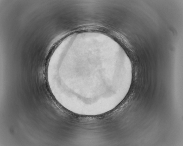 X0000110971164200907310923