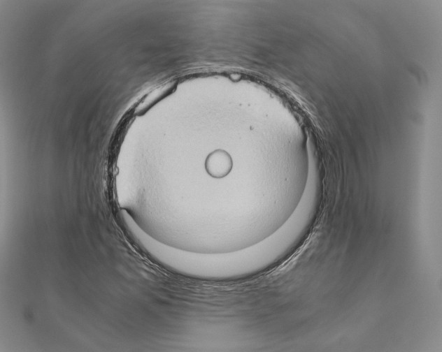 X0000110971165200907310923