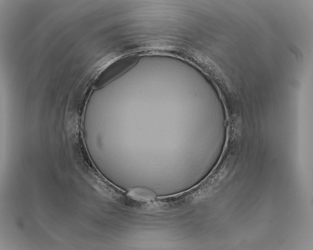 X0000110971169200907310923
