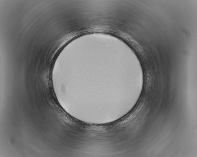 X0000110971170200907310923