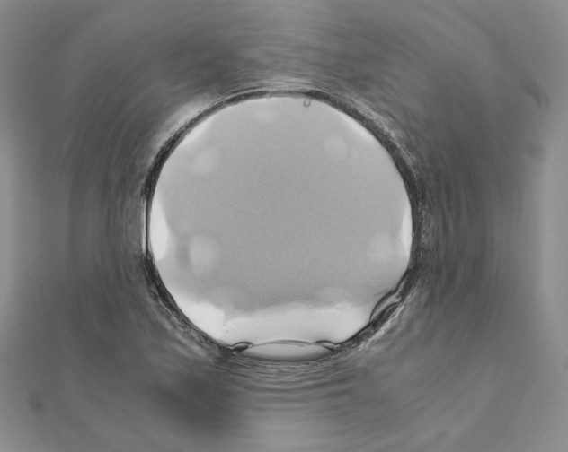 X0000110971171200907310923