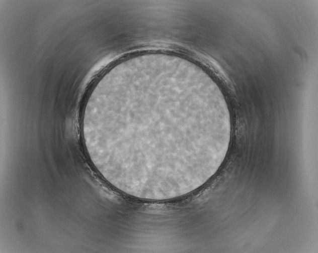 X0000110971172200907310923