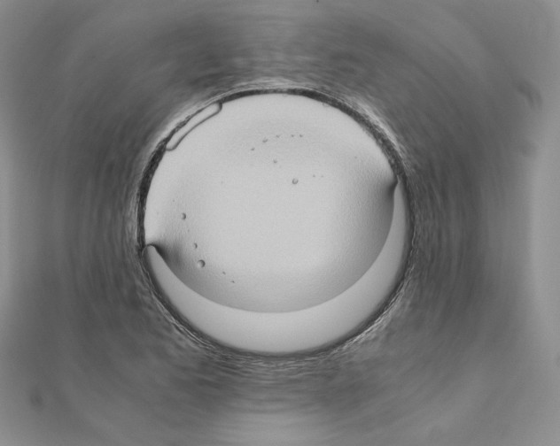 X0000110971173200907310923