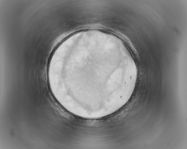X0000110971176200907310923
