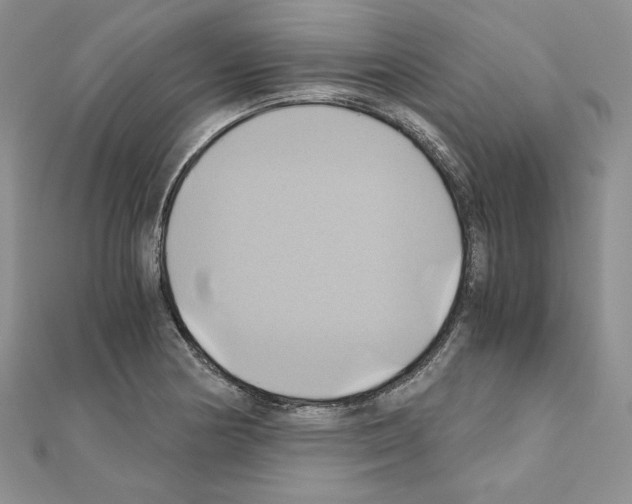 X0000110971178200907310923