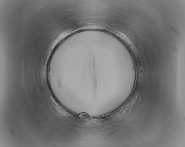 X0000110971181200907310923