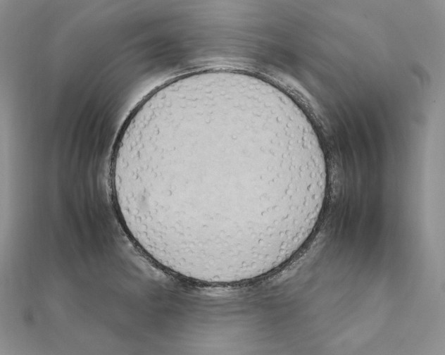 X0000110971182200907310923