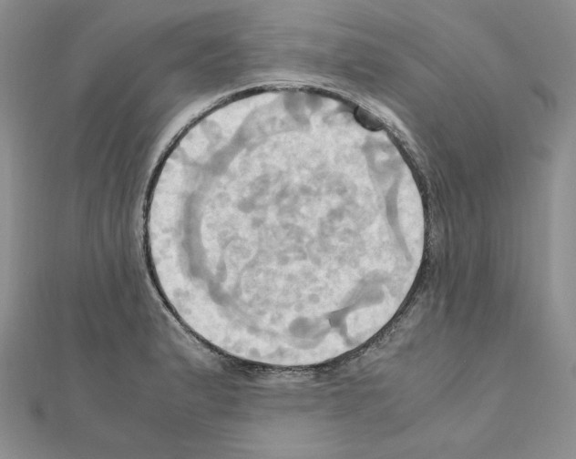 X0000110971183200907310923