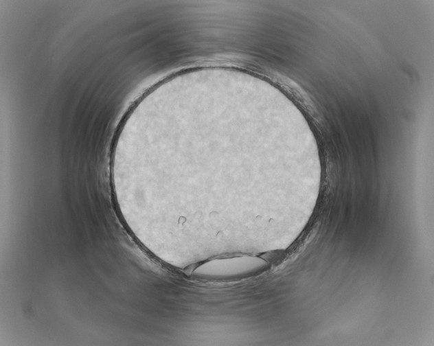 X0000110971184200907310923