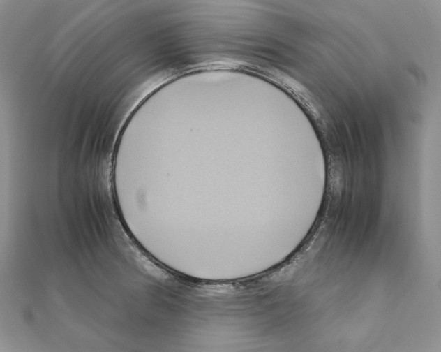 X0000110971186200907310923