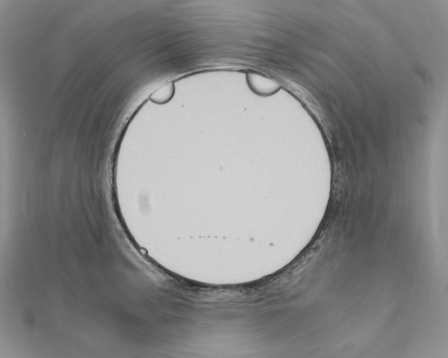 X0000110971187200907310923